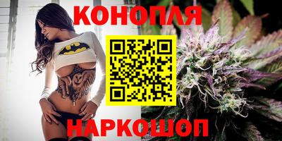 прущие грибы Ангарск