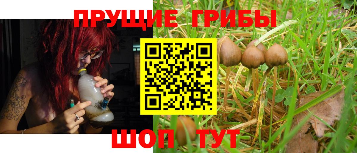 Галлюциногенные грибы Magic Shrooms Бахчисарай